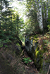 A shallow crevasse cuts through moss covered hard rock.