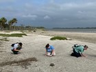 Photo of three people searching for fossils on a sandy beach.