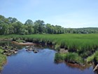 View of water surrounded by marsh grass with trees in background