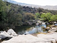 A pool of water in a bedrock-lined desert drainage.
