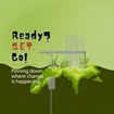 Infographic describing the Surface Elevation Table.