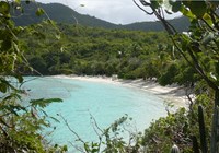Clear blue water surrounded by trees and white sand