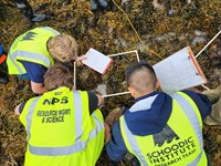 Three people looking at seaweed on a rocky shore