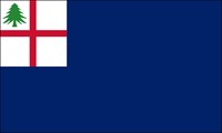 A flag with a blue field. In the top left corner is a white square with a red cross and a pine tree.