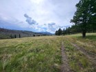 A two-track trail through a montane grassland.