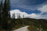 Color photograph of a gravel road running through a mountain forest with green trees and blue sky.