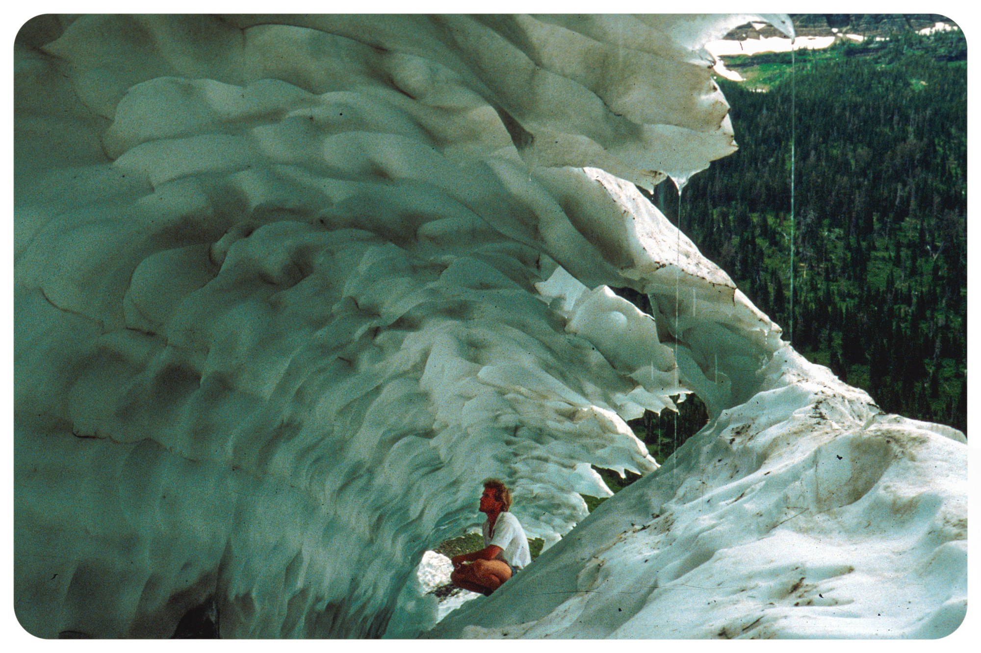 How Glacier Got Its Name