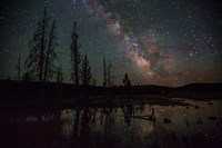 a calm lake and silhouettes of trees with the milky way in the sky above