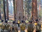 A firefighter stands near the base of a sequoia tree speaking to a group of firefighters.