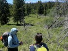 Two people in a small meadow looking towards the Grand Tetons.