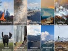 Collage of images from across the United States showing scenes of wildfire and prescribed fire.