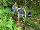 Two people standing in a narrow creek with long nets and a probe, surrounded by green plants