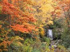 A waterfall surrounded by vibrant fall foliage.
