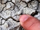 Photo of a finger pointing to a seed-like, ovoid fossil on the ground.