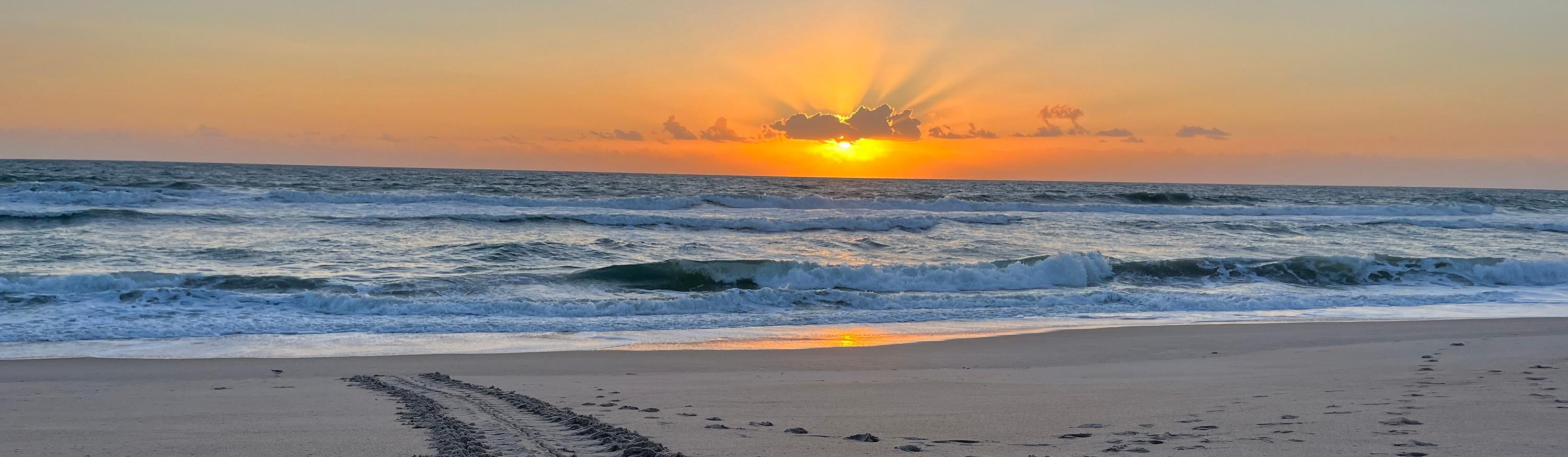 Canaveral National Seashore (U.S. National Park Service)