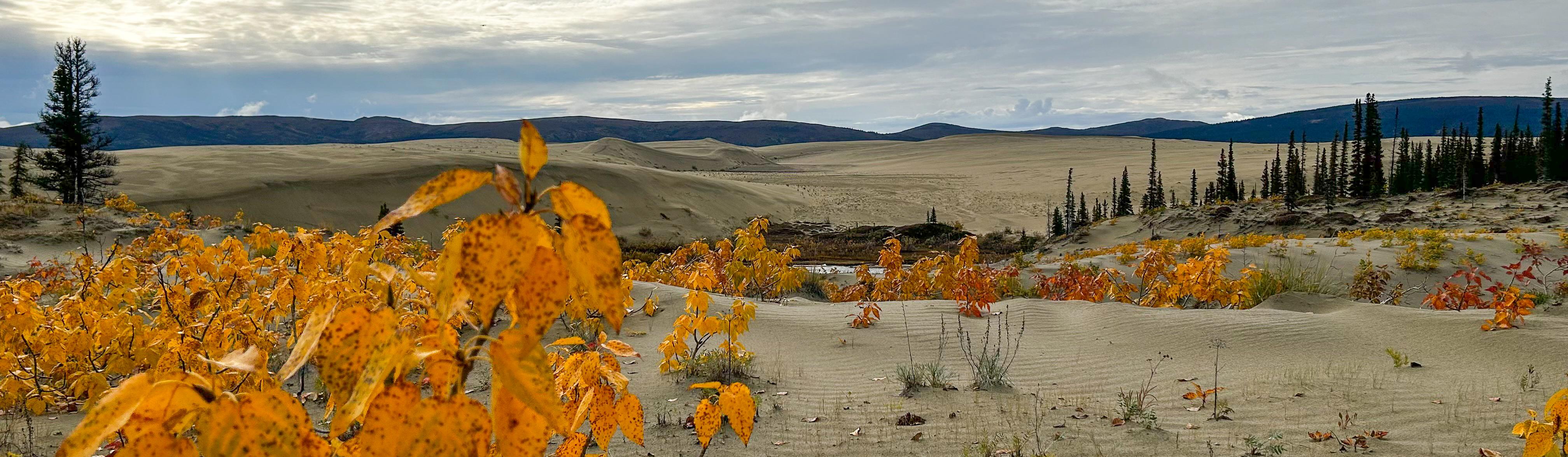Great Kobuk Sand Dunes in Kobuk Valley National Park