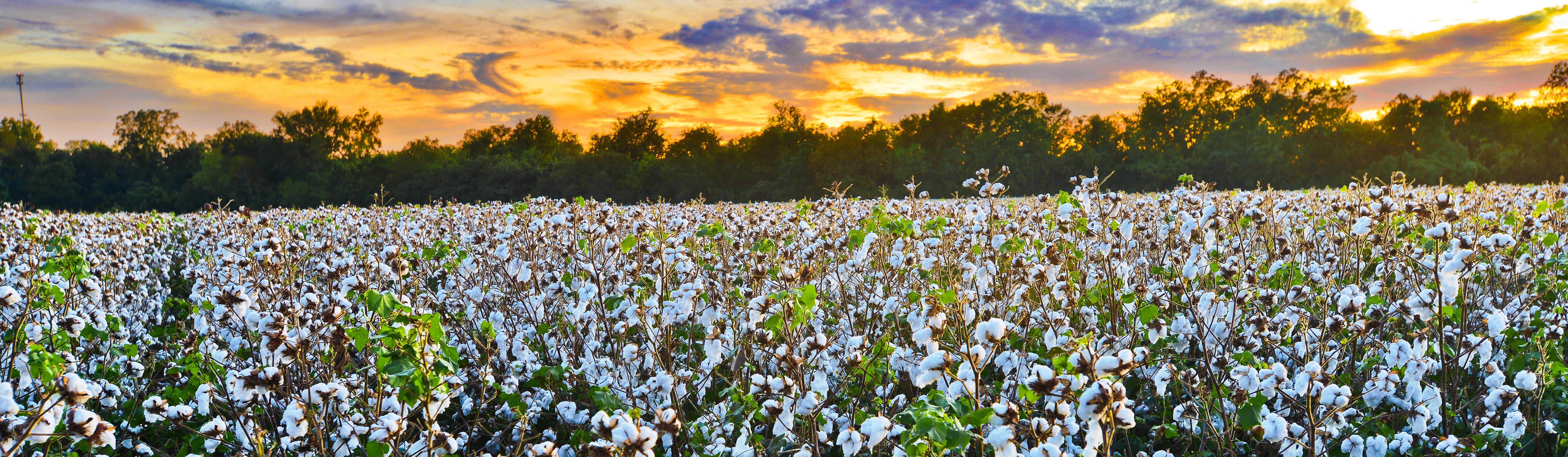 Cane River National Heritage Area (U.S. National Park Service)