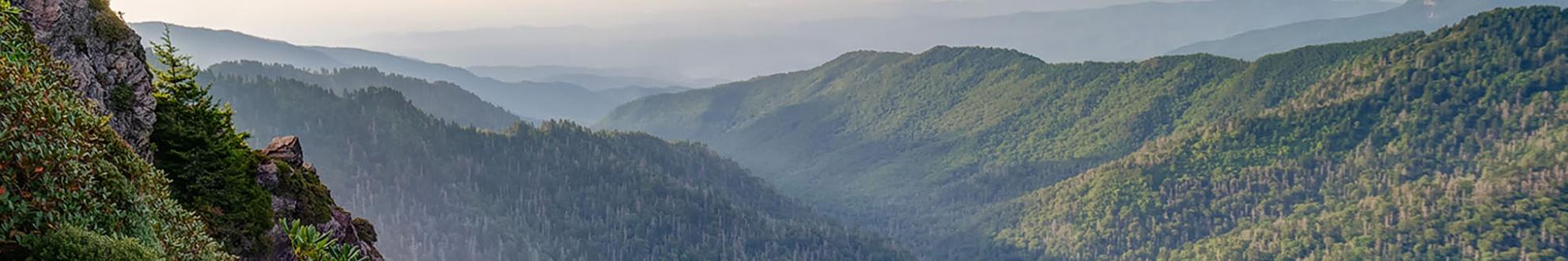 Tricorner Shelter — photo 2