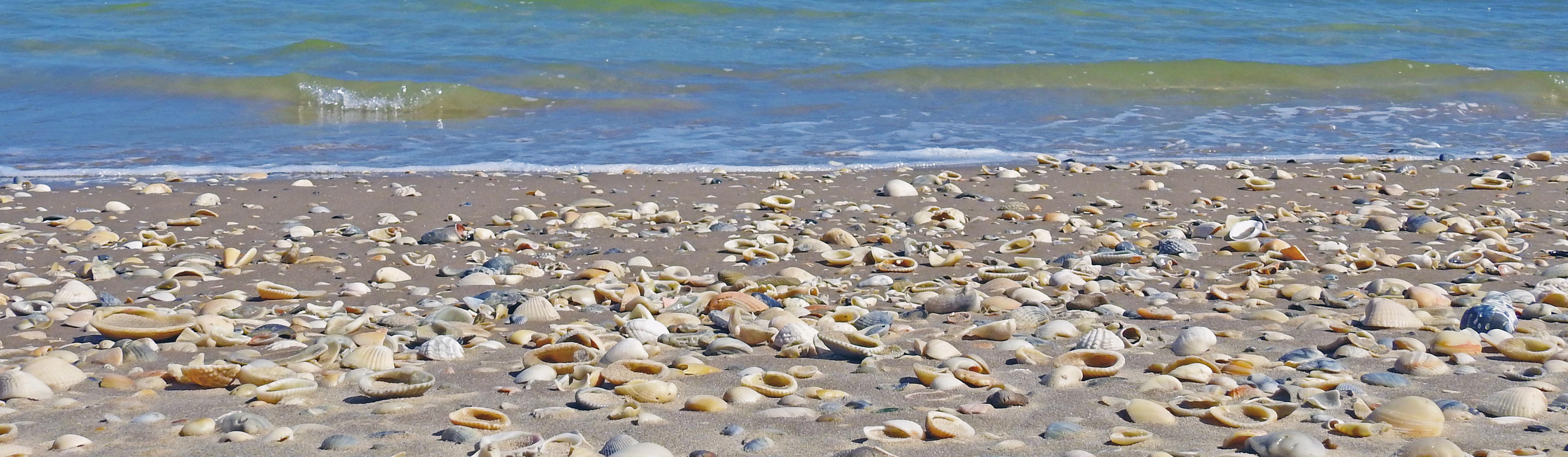 Padre Island National Seashore (U.S. National Park Service)