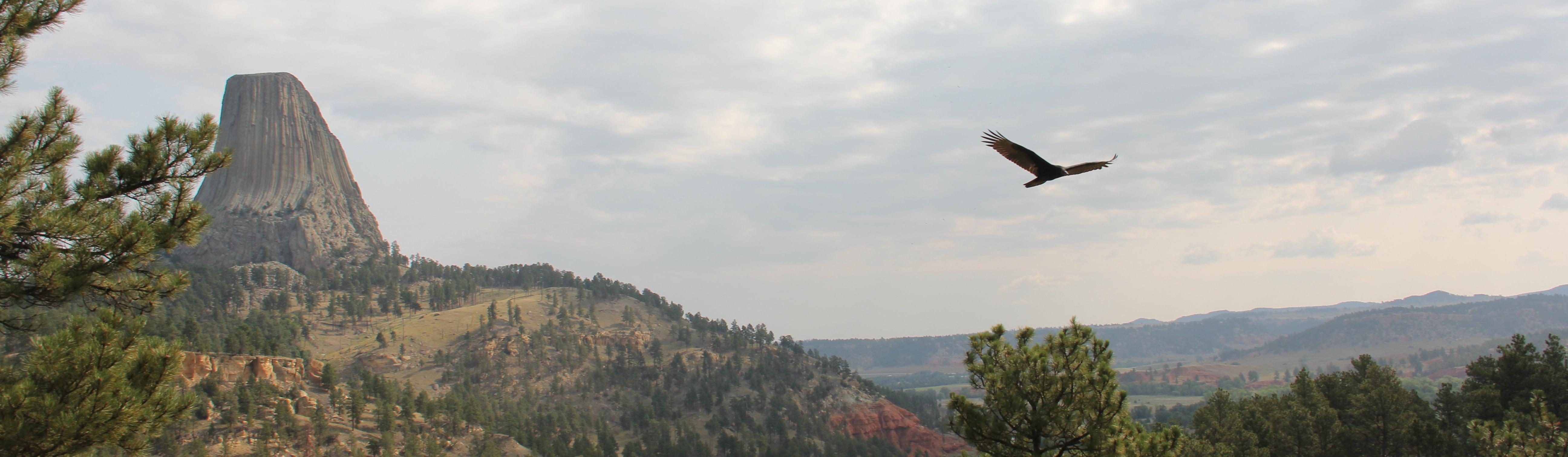 Devils Tower｜TikTok Search