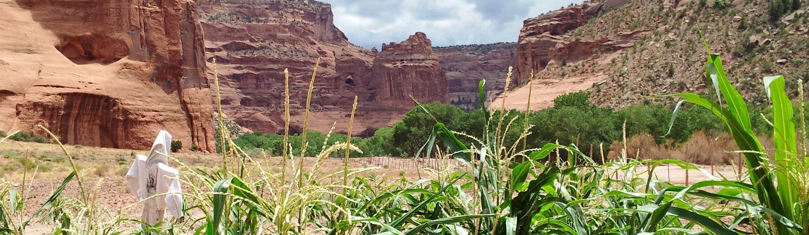 Canyon de Chelly - National Park Service