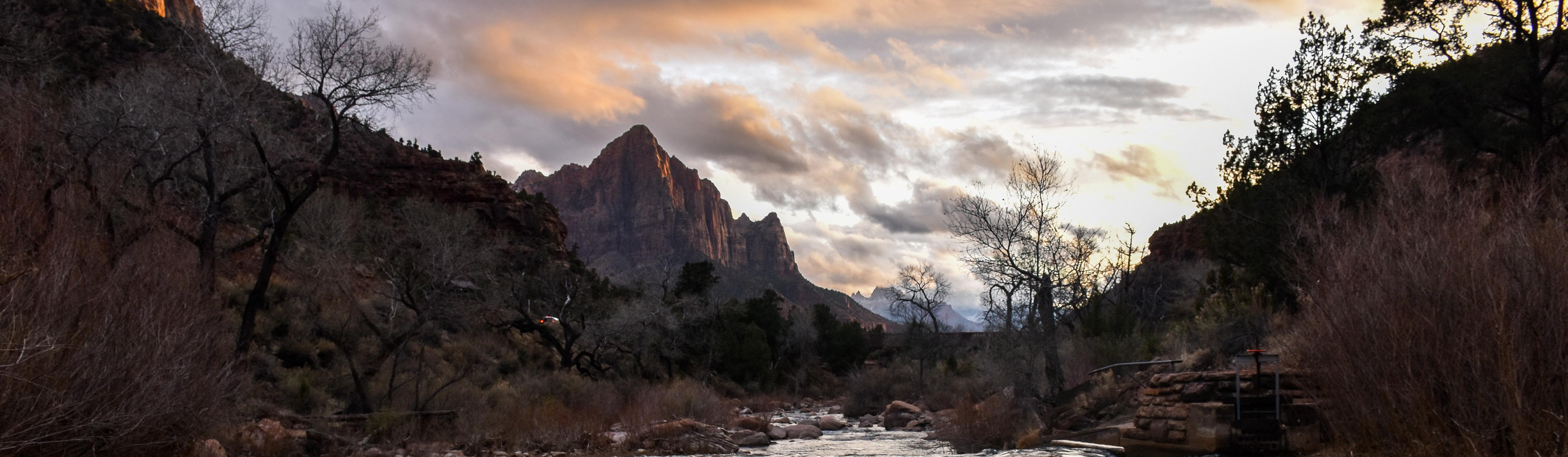 Are Dogs Allowed At Mt Zion