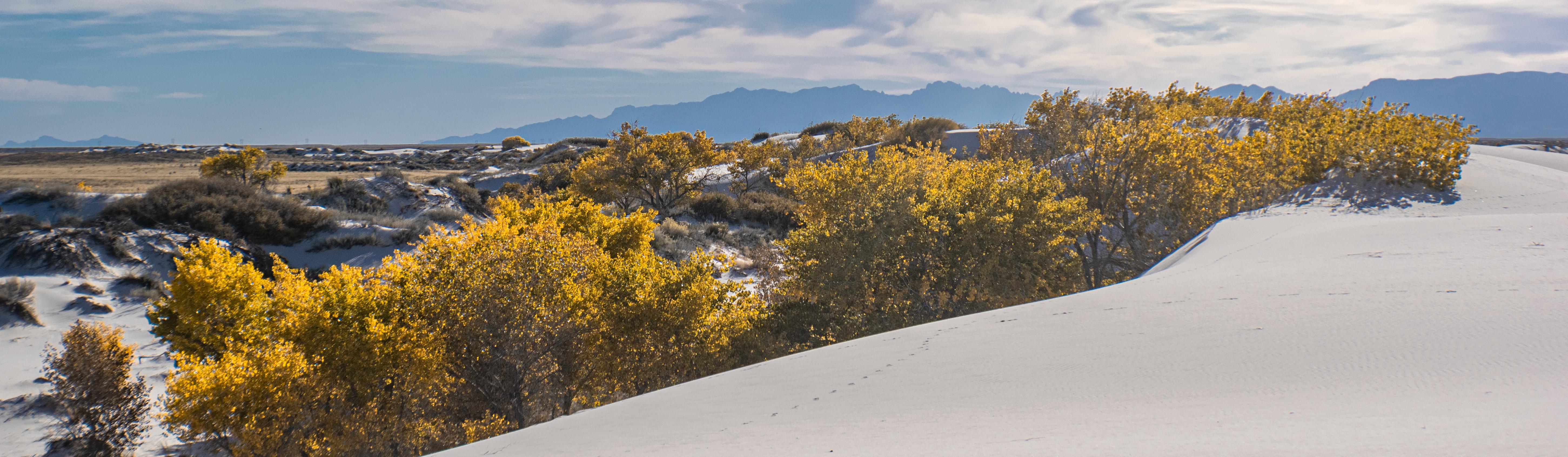 Trinity Site - White Sands National Park (U.S. National Park Service)