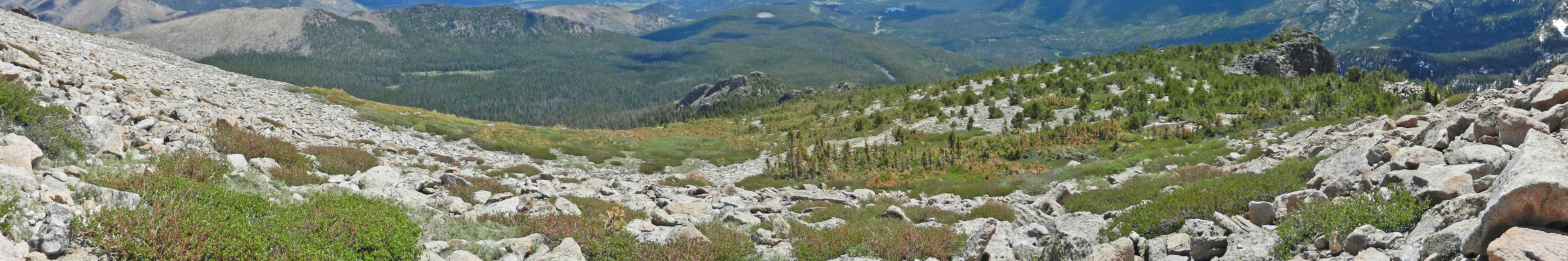 Glacier Basin Campground — photo 4