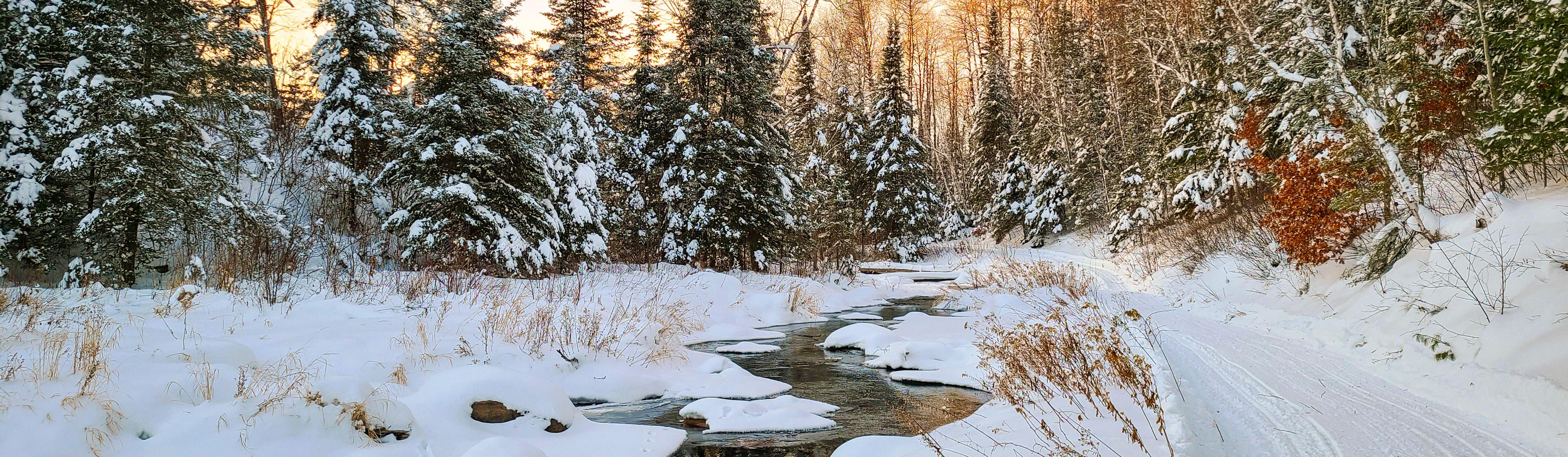 Voyageurs National Park (U.S. National Park Service)