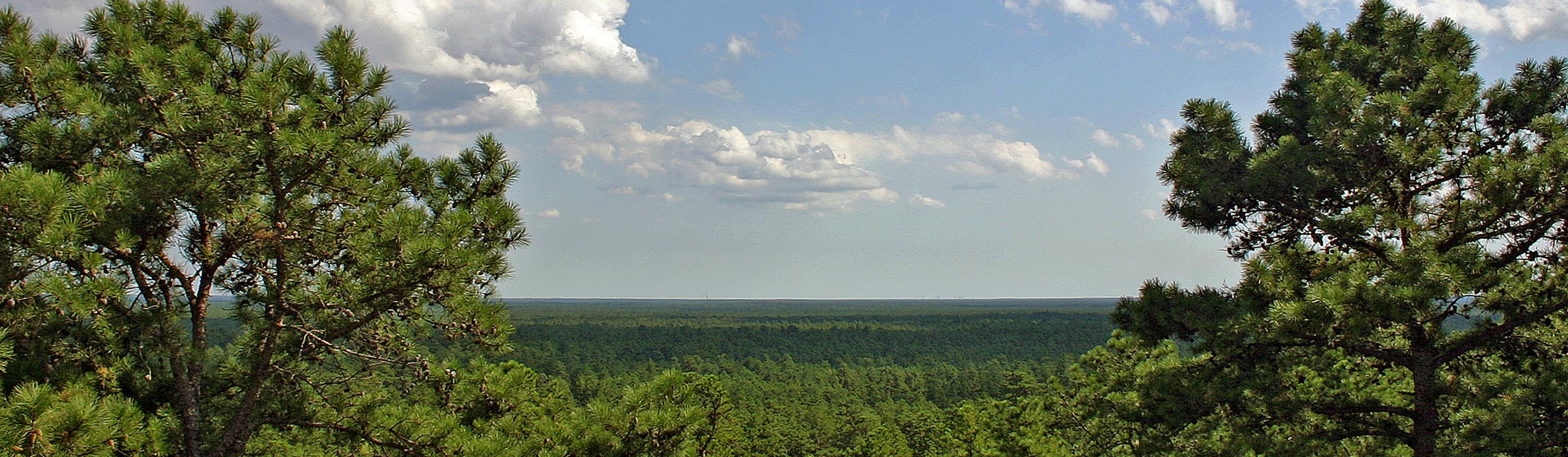 New Jersey Pinelands National Reserve (U.S. National Park Service)