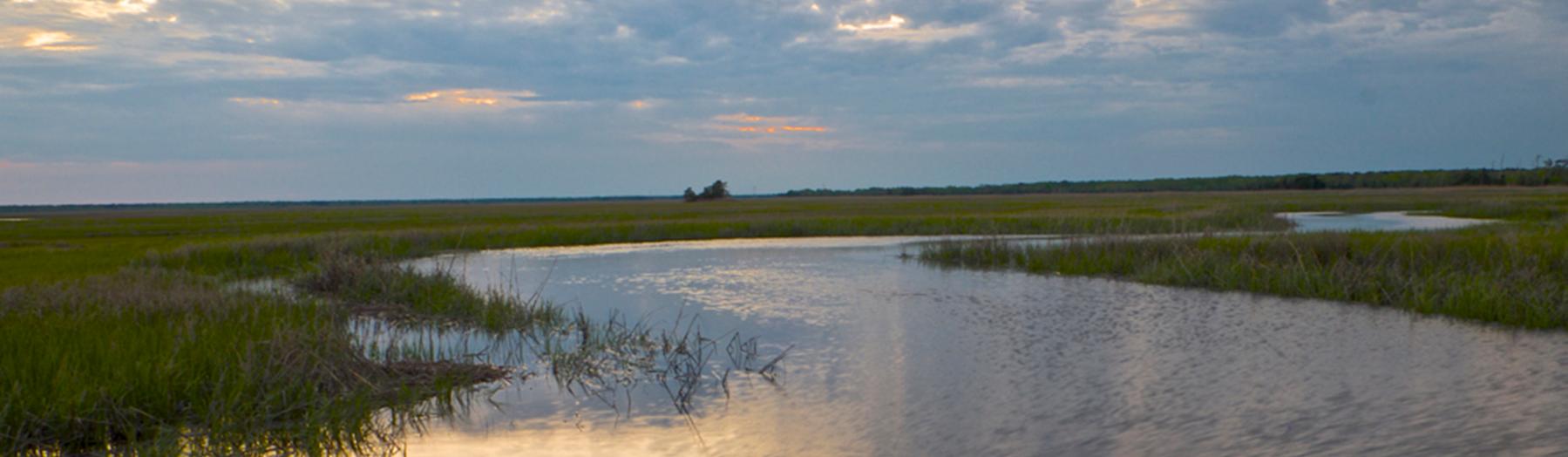 Great Egg Harbor River (U.S. National Park Service)