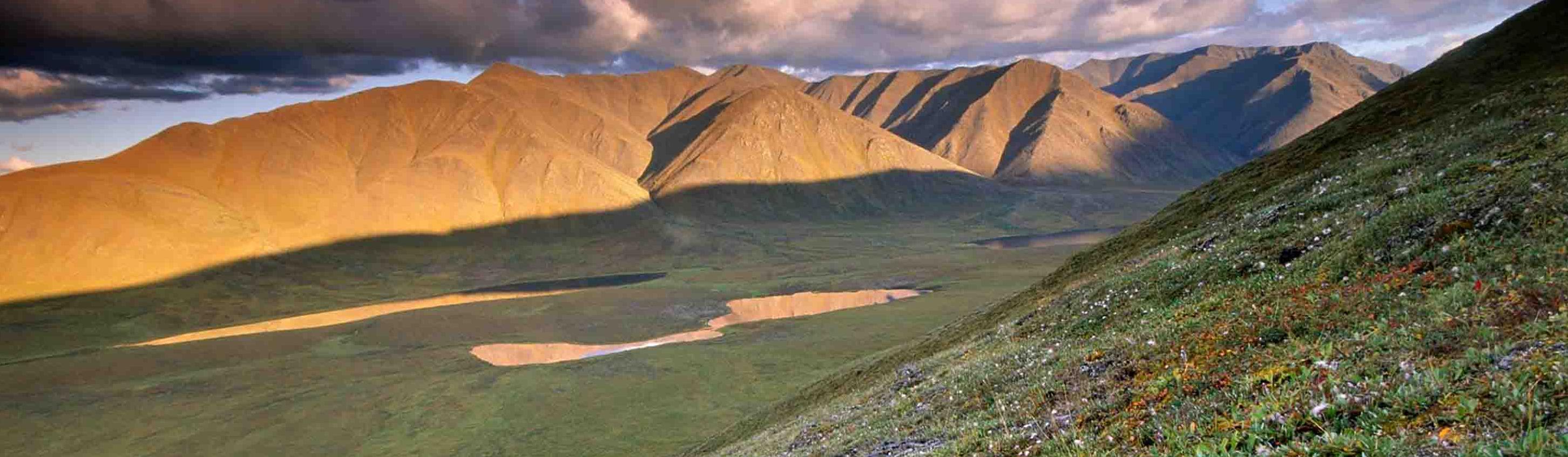 Берингия
