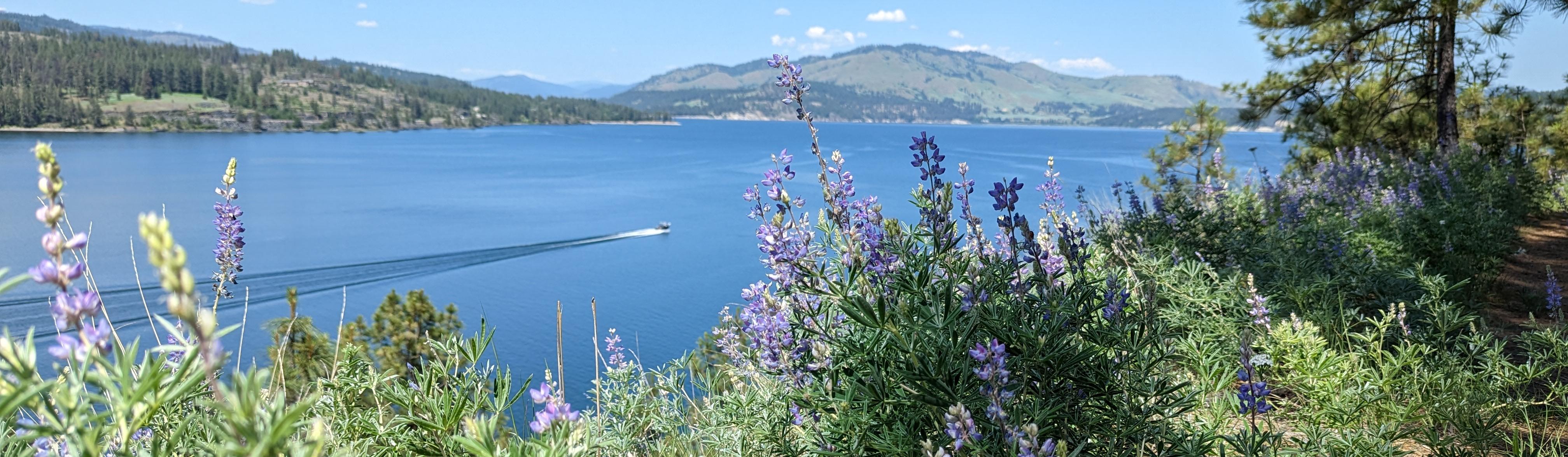 Lake Roosevelt National Recreation Area (U.S. National Park Service) - Main photo