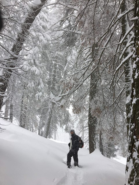 A visitor on a trail poses among a snow covered landscape.