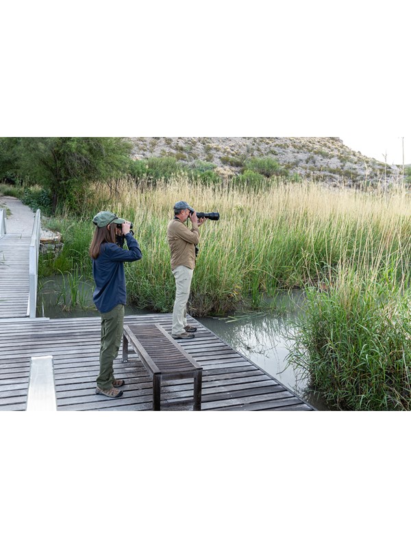 Birdwatchers use a camera and binoculars to look for birds along the RGV Nature Trail.