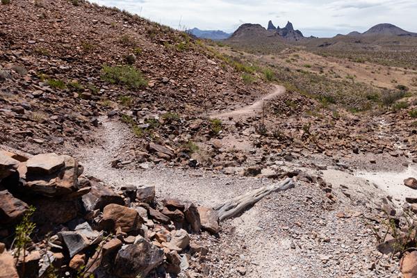 Mule Ears Trail