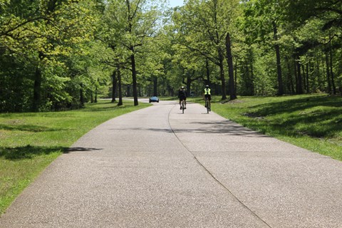 Two bikers riding away from the camera.