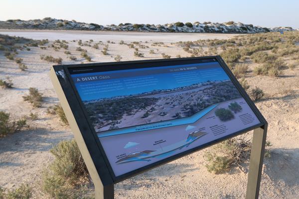 The "A Desert Oasis" interpretive sign on the Playa Trail.