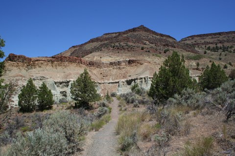 A gravel path with trees and shrubs on both sides leads to a scenic view of blue-green formations