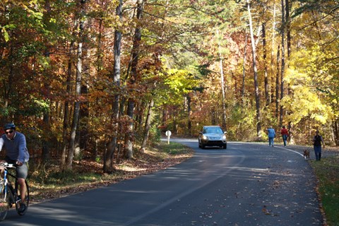 Bicycle followed by car travel along a road with pedestrians walking opposite direction