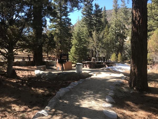 large tree casting shadow on grills and picnic tables