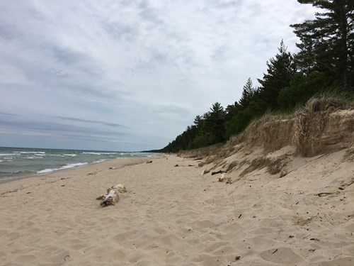 Beaver Basin Wilderness Beach