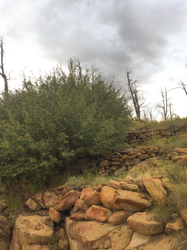 Three short, stone-masonry walls built one above the other along a steep slope.