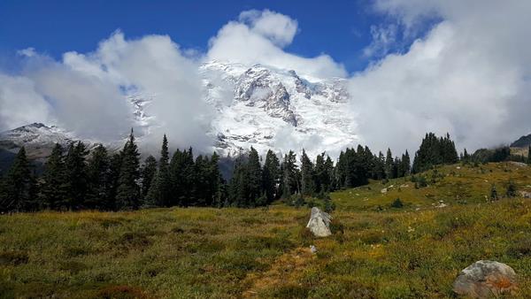 Clouds partly cover a glaciated mountain that rises above a meadow and forest.