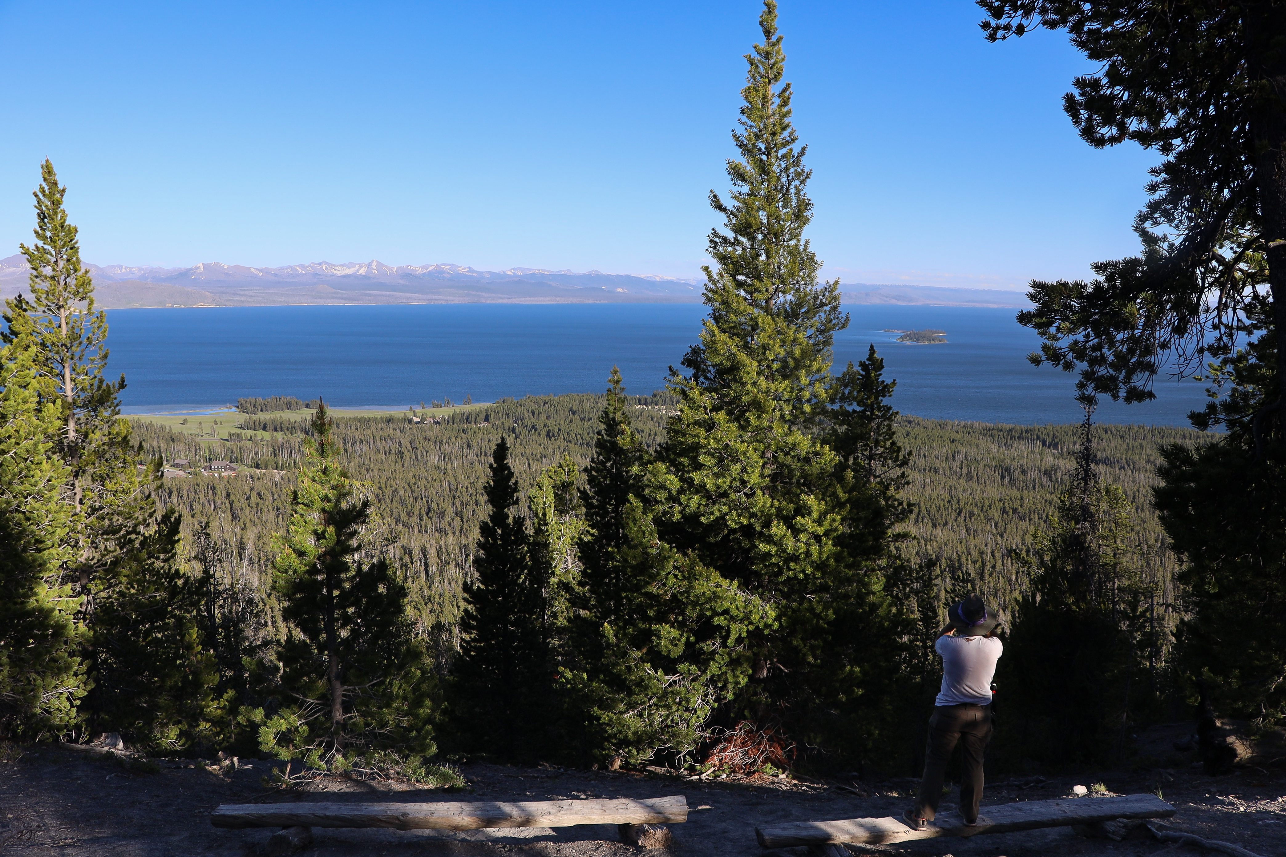 A hiker looks down from a vantage point across a forest to a large lake.