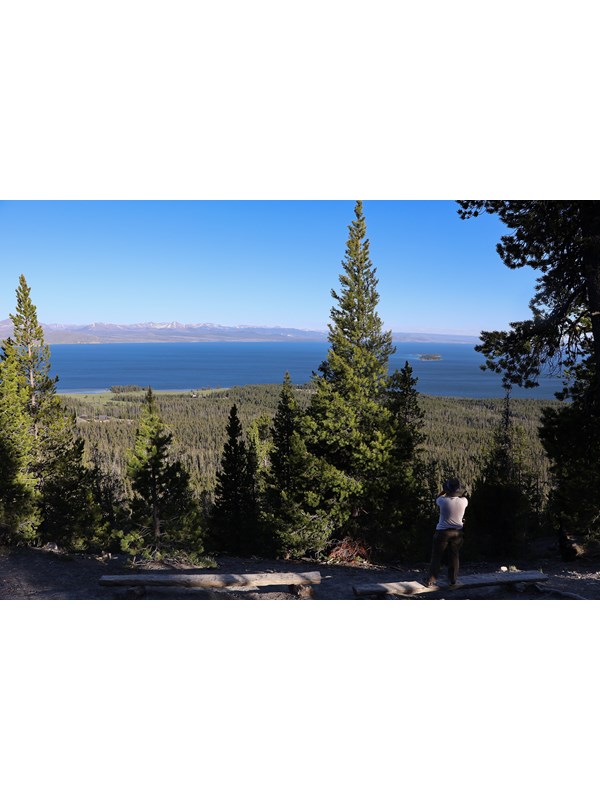 A hiker looks down from a vantage point across a forest to a large lake.