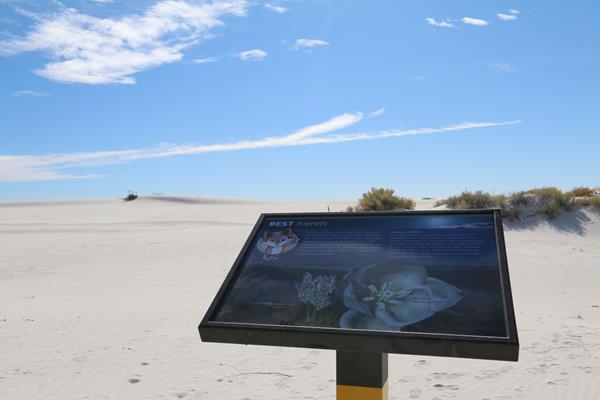 The "Best Friends" interpretive sign at Dune Life Nature Trail.