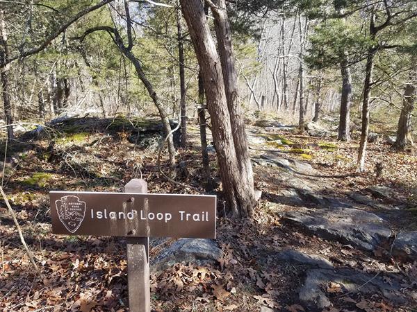 Trailhead sign that reads, "Island Loop Trail" with trail leading into forest