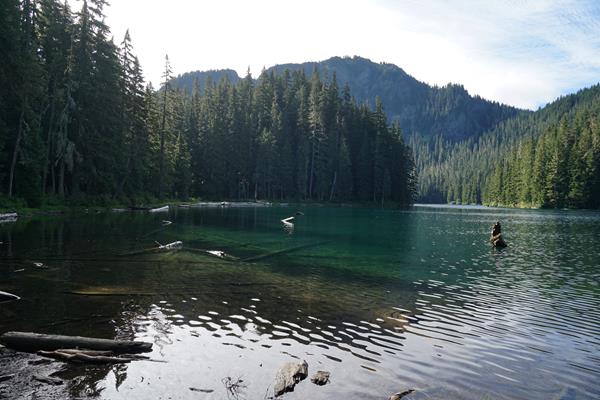 A blue-green lake surrounded by forested mountain slopes.