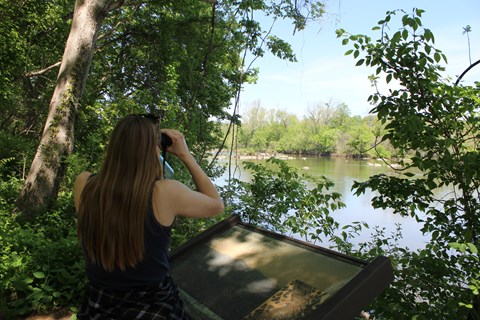 Person on a trail looking through binoculars at trees in the distance